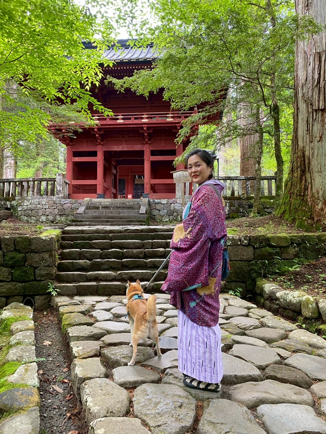 メルマガ「きもの巡り便り」6月からはじまります。