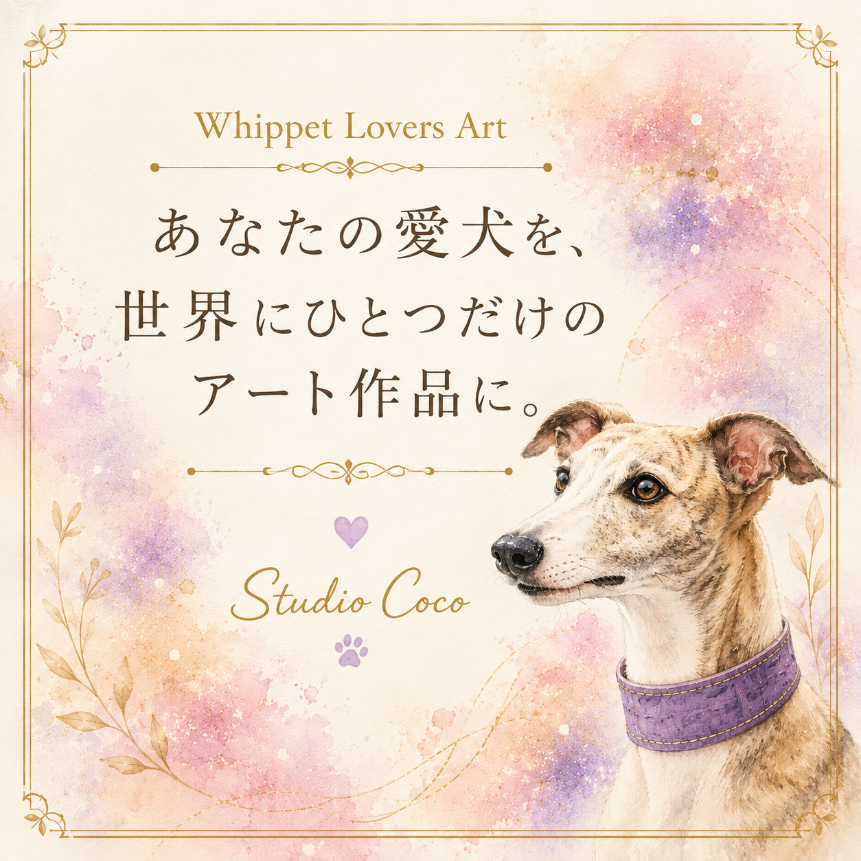 Whippet Coco's Gallery #02