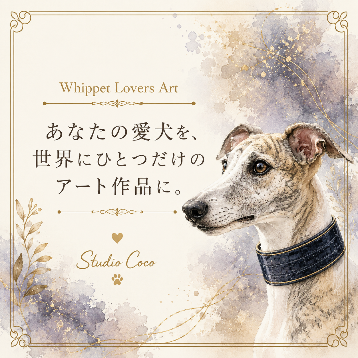 Whippet Coco's Gallery #01