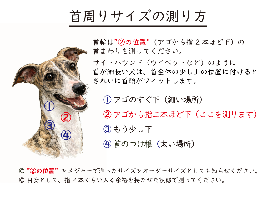 首周りサイズの測り方