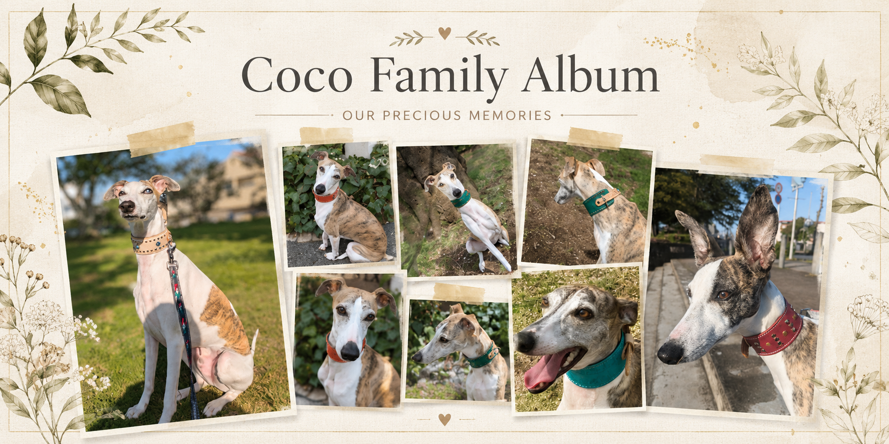 Coco Family Album