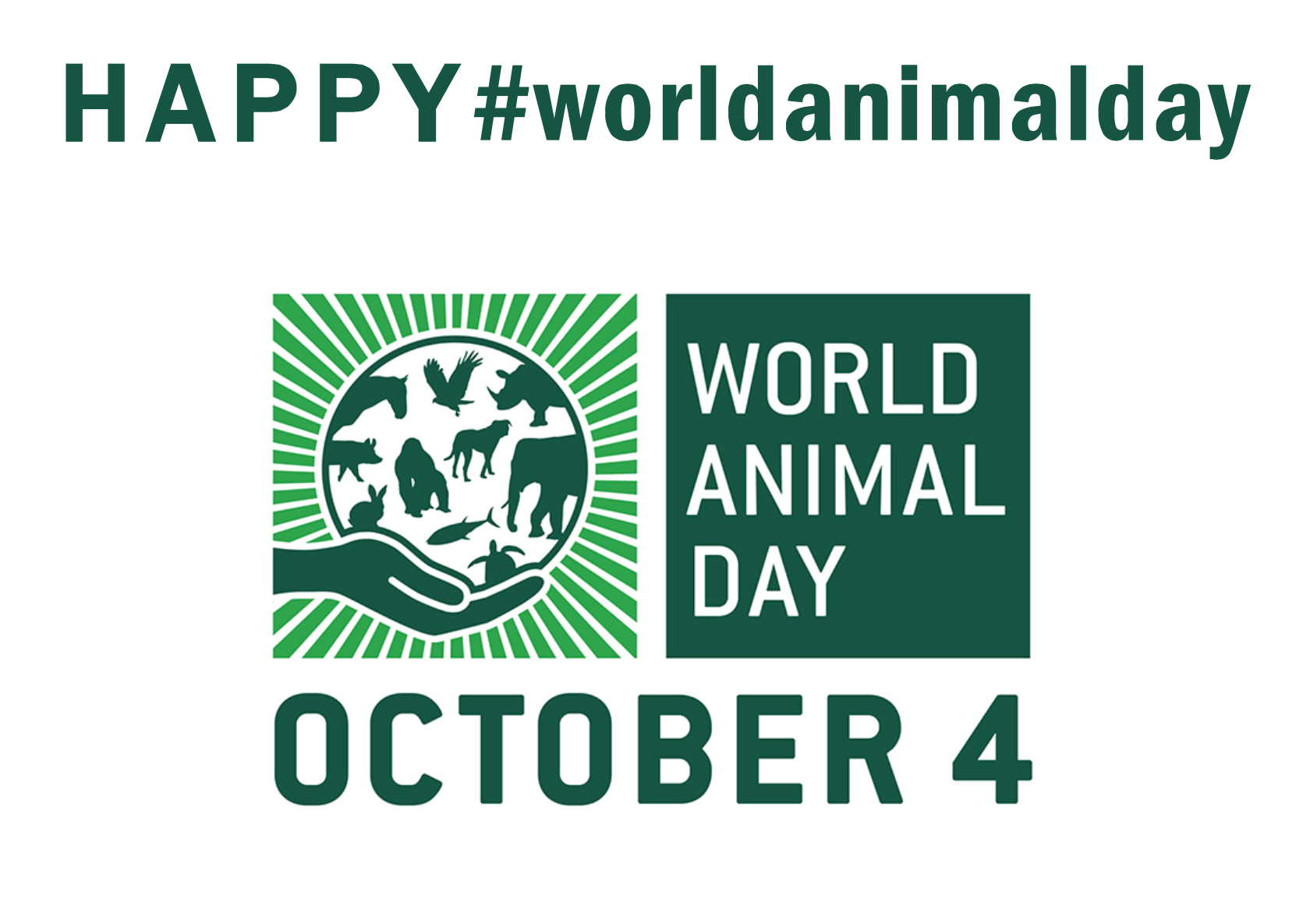 World Animal Day!