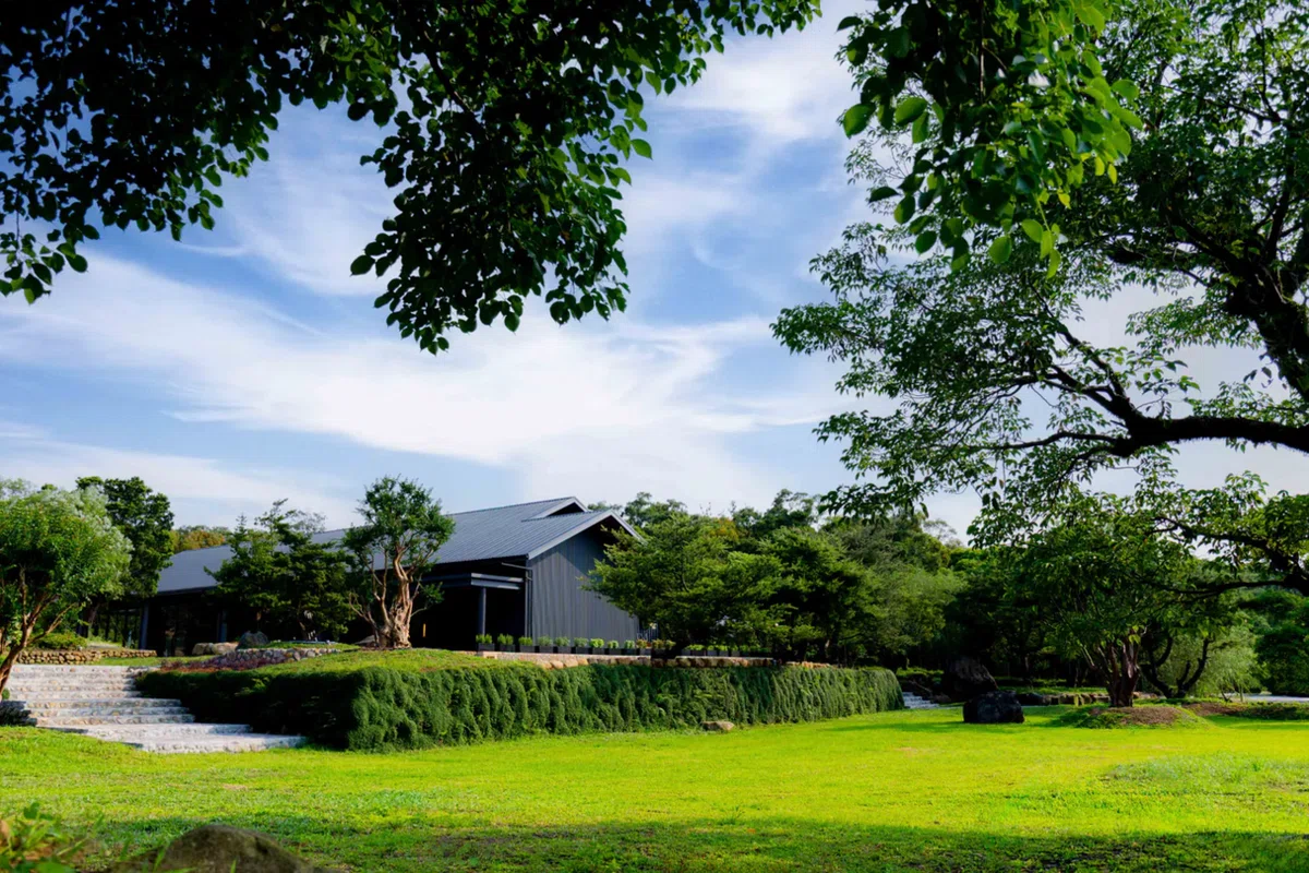 晴花鹿苑でおしゃれで元気なビカクシダを仕入れてきました！