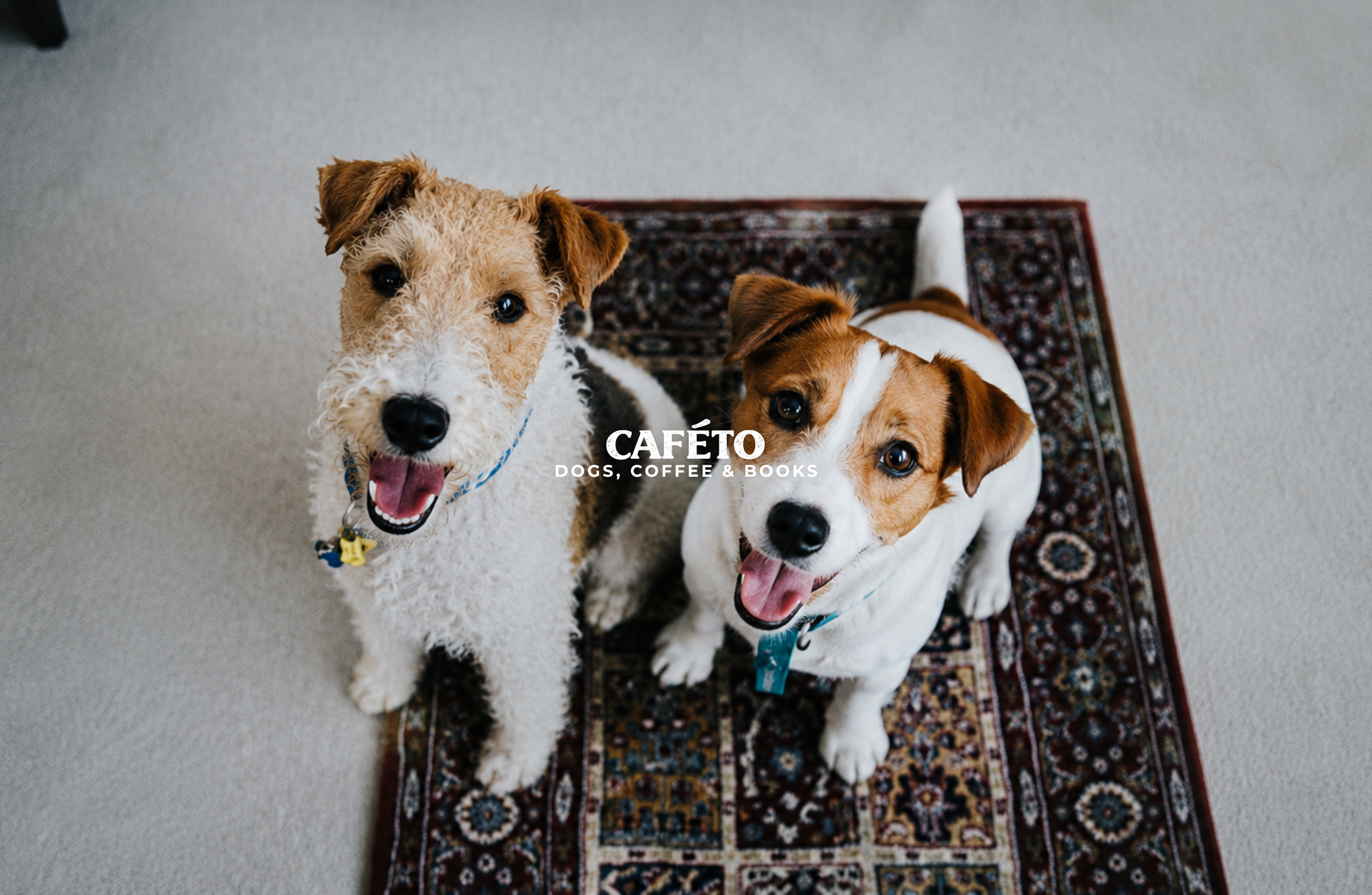 CAFÉTO オンラインストアオープンのお知らせ