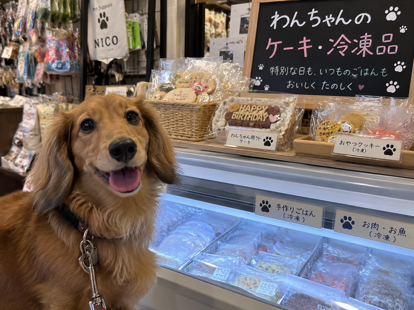 ワンちゃん用ケーキ・冷凍商品をご用意しています