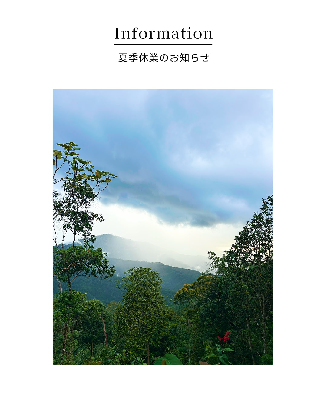 夏季休業のお知らせ