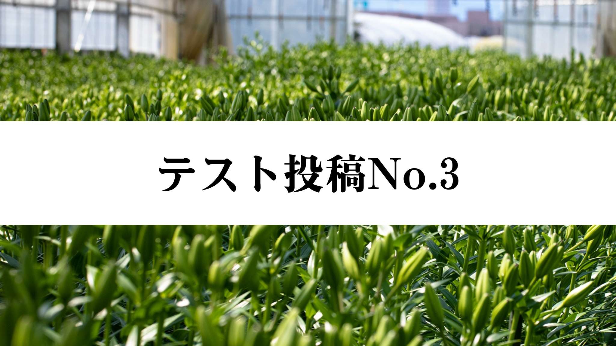 テスト投稿No.3
