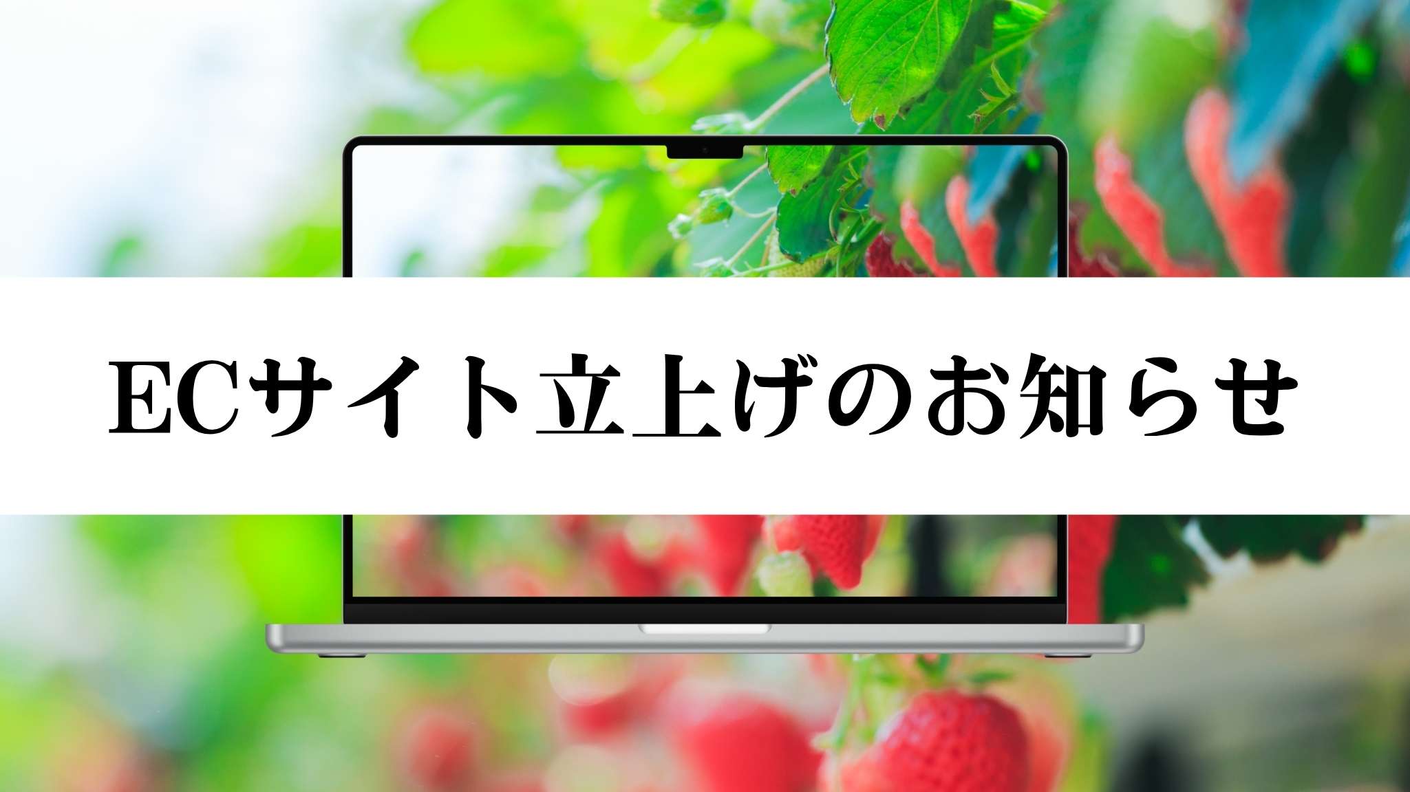 ECサイト立上げのお知らせ