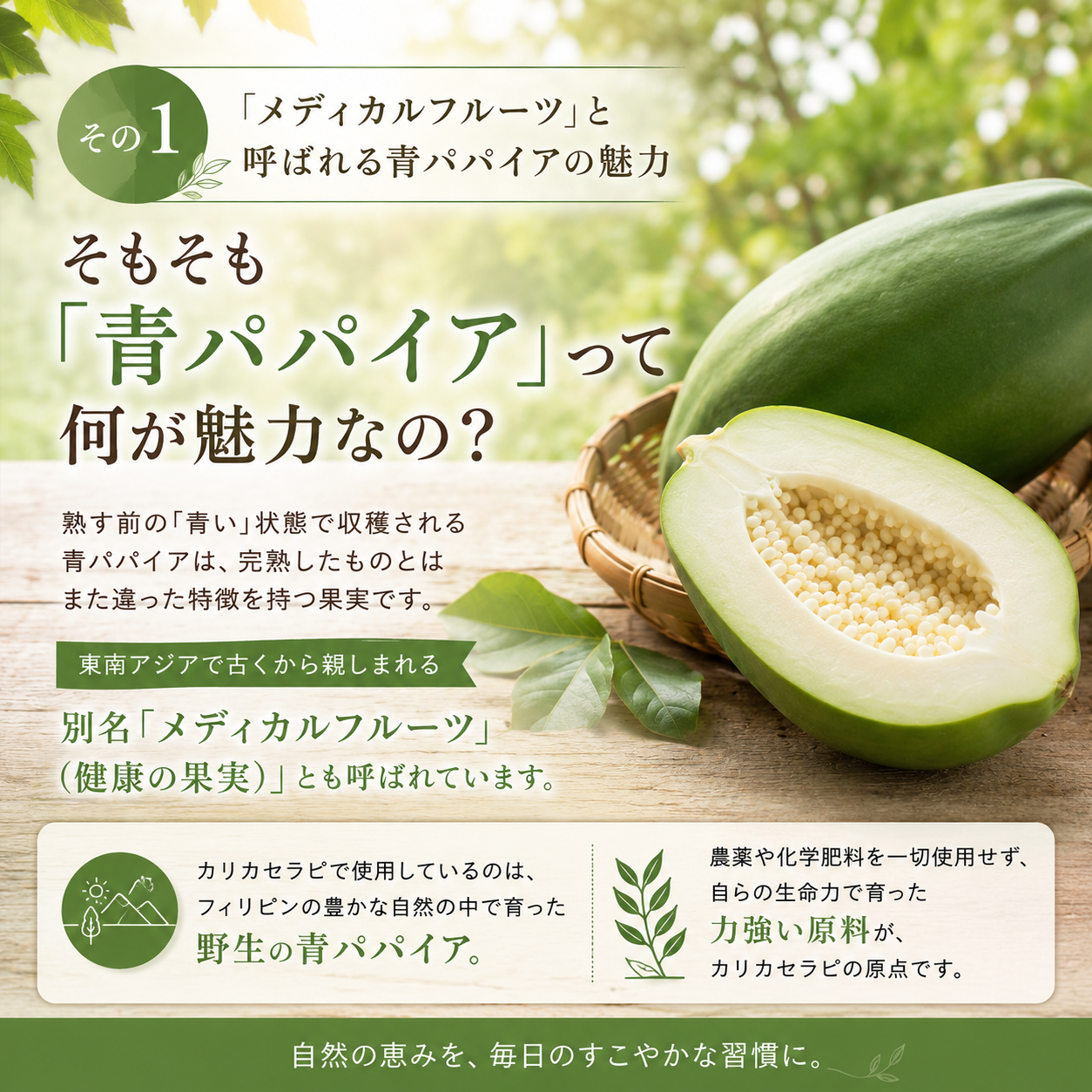 【その１】「メディカルフルーツ」と呼ばれる青パパイアの魅力