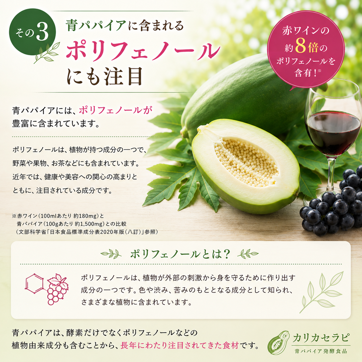 【その３】青パパイアに含まれるポリフェノールにも注目
