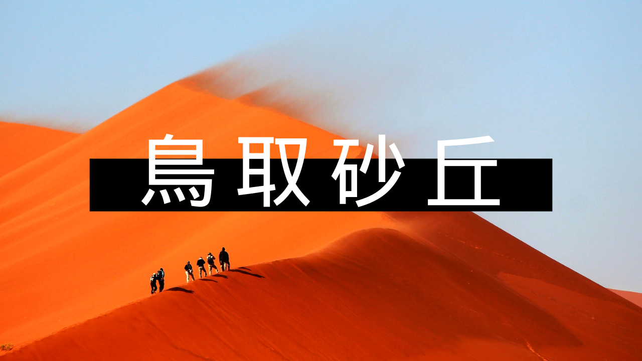 【2026最新】GWの鳥取砂丘を120%楽しむ！ラクダ攻略＆大混雑回避のコツ