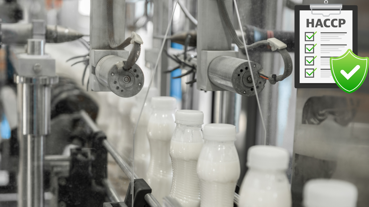 【気になる】サバ缶、宇宙へ行くで話題！HACCP（ハサップ）ってうまく説明できる？
