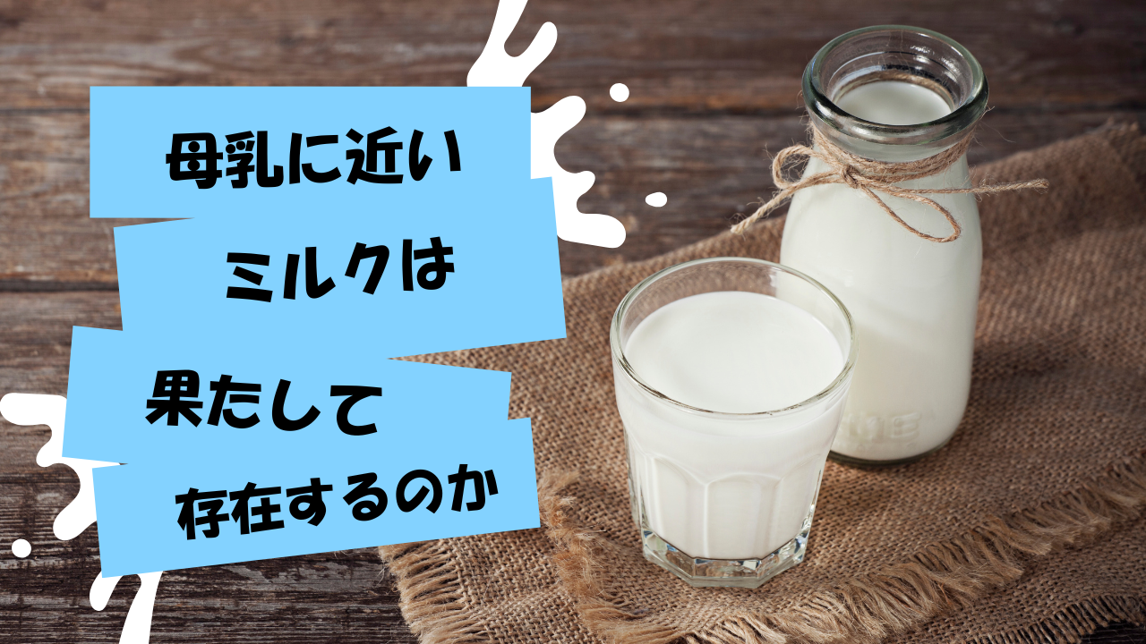 【母乳の神秘】なぜ「ラクダミルク」は母なる乳と呼ばれるのか？