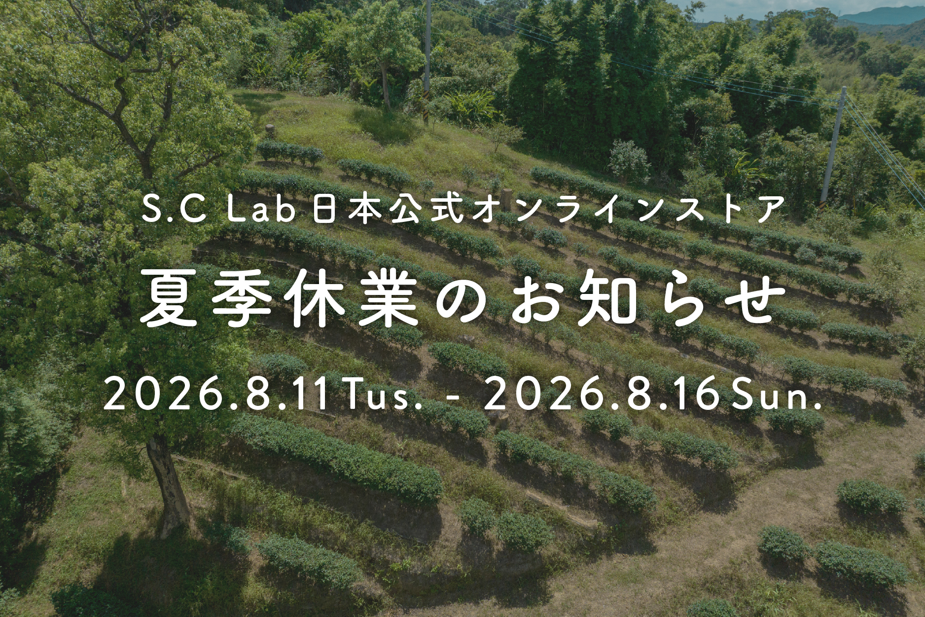 夏季休業のお知らせ