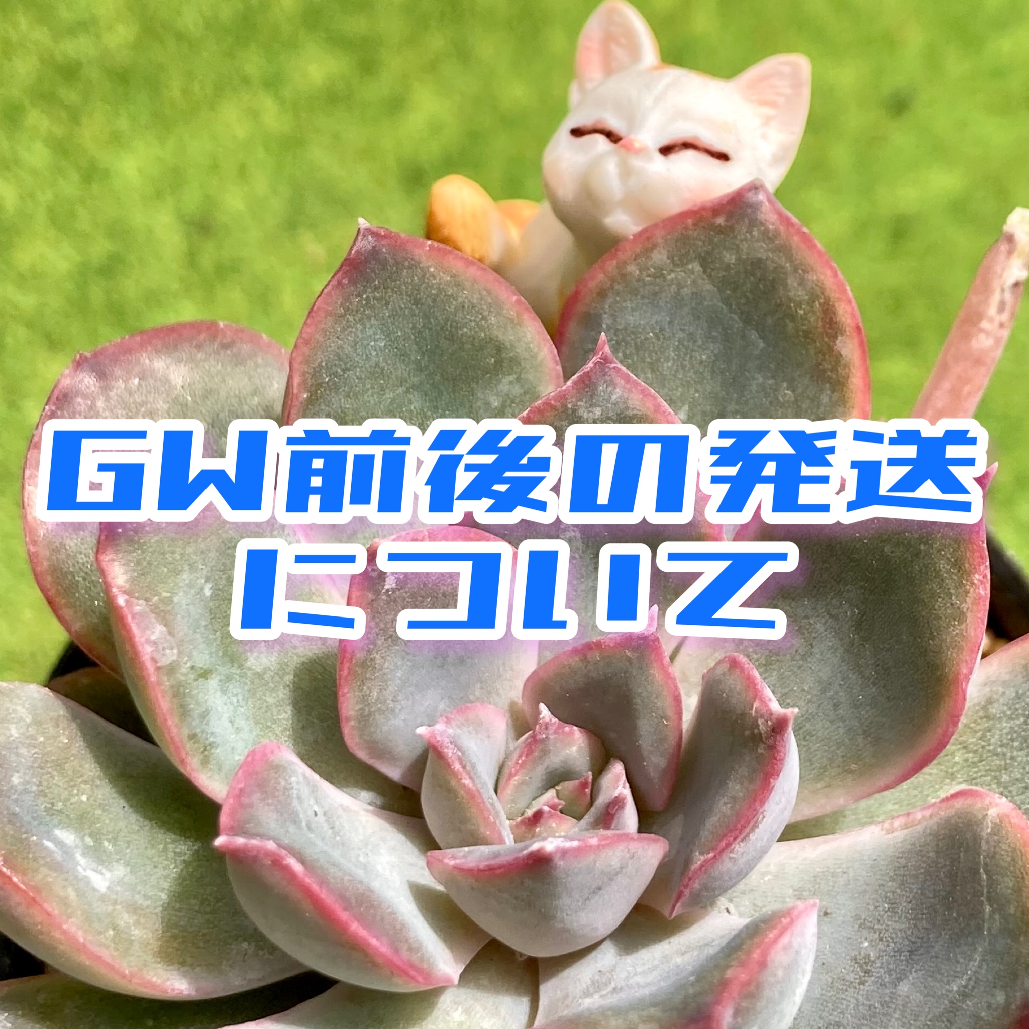GW前後の発送について꒰՞ ̳´o̴̶̷̤  ̫ o̴̶̷̤` ̳՞꒱