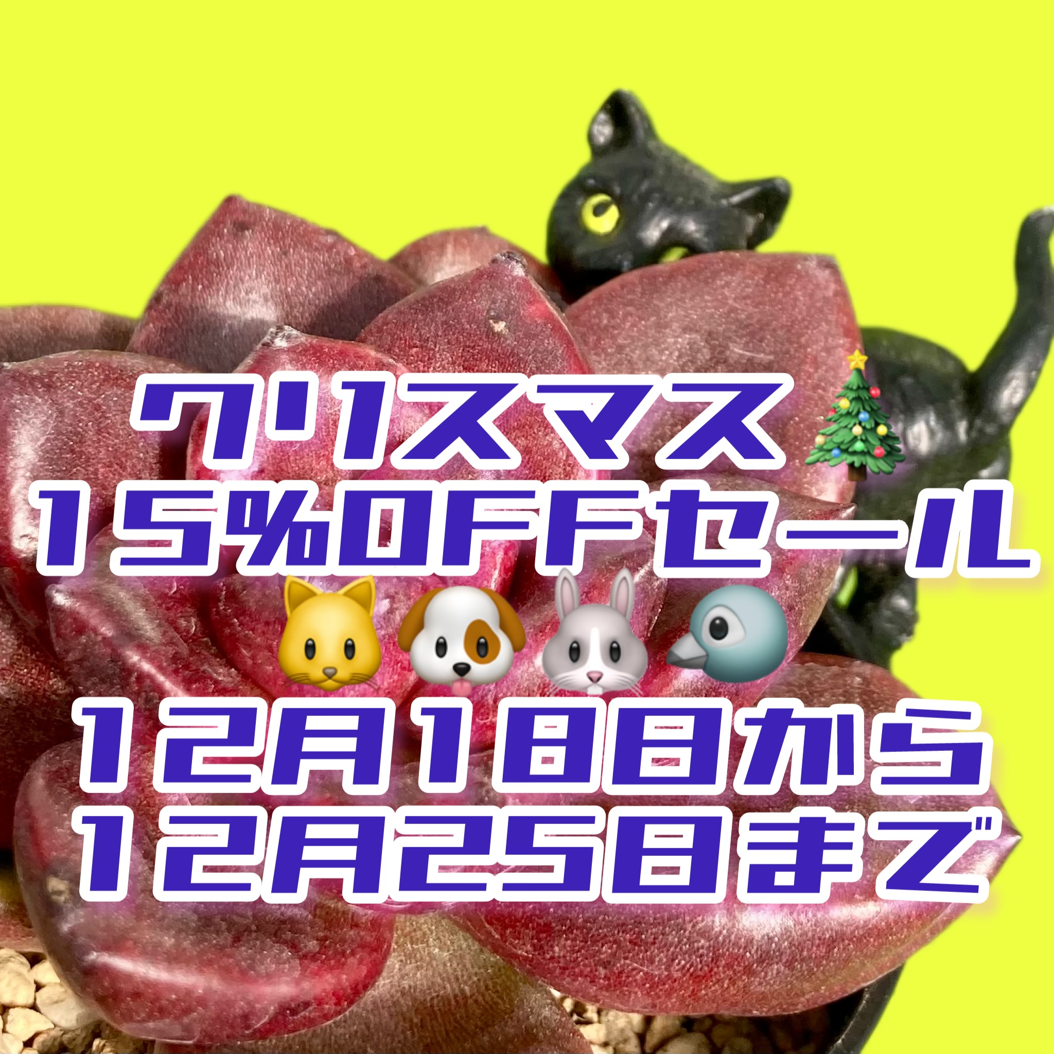 クリスマス15%オフセール開催します❣️