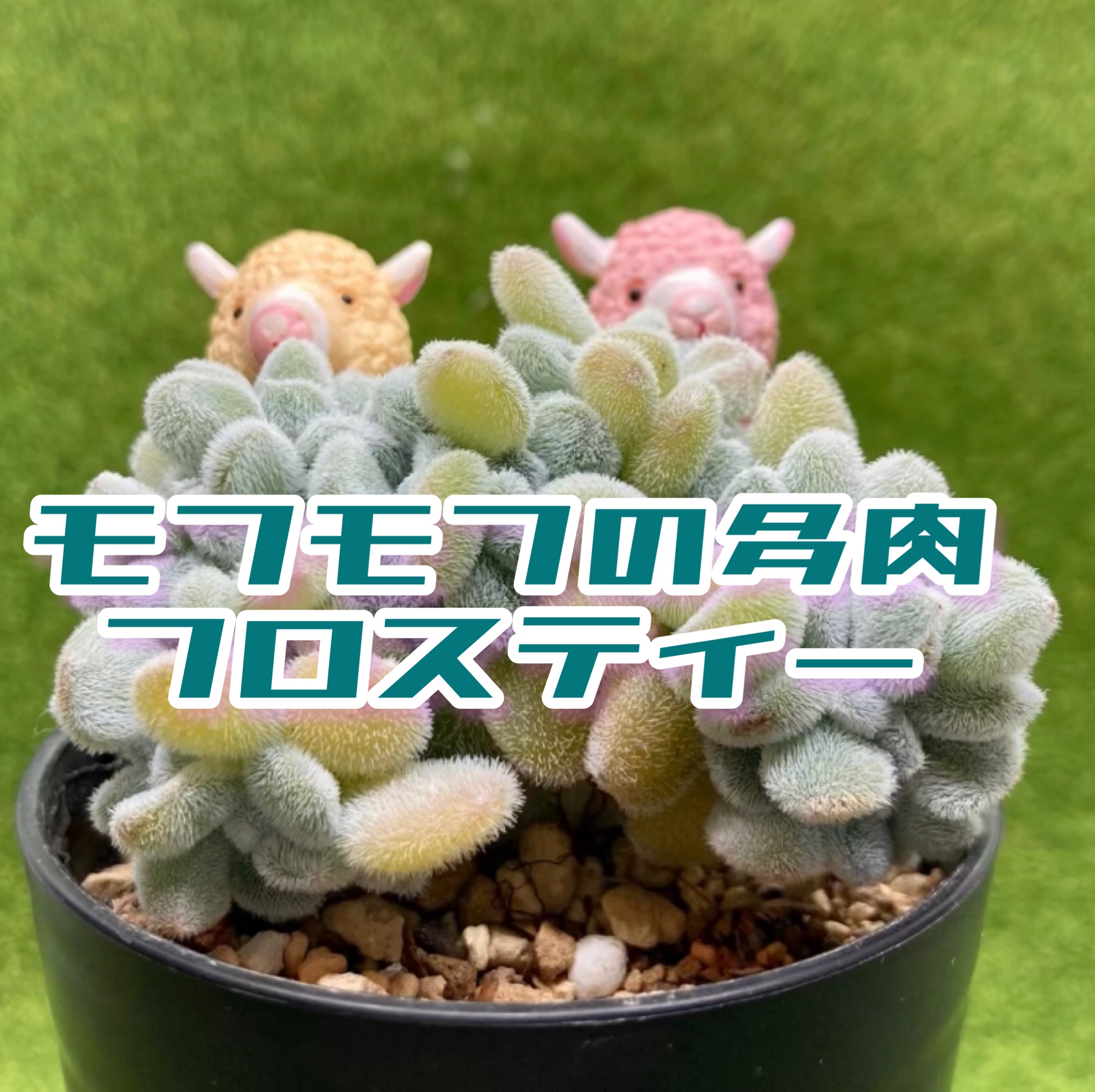 YouTu部動画をアップしました❣️