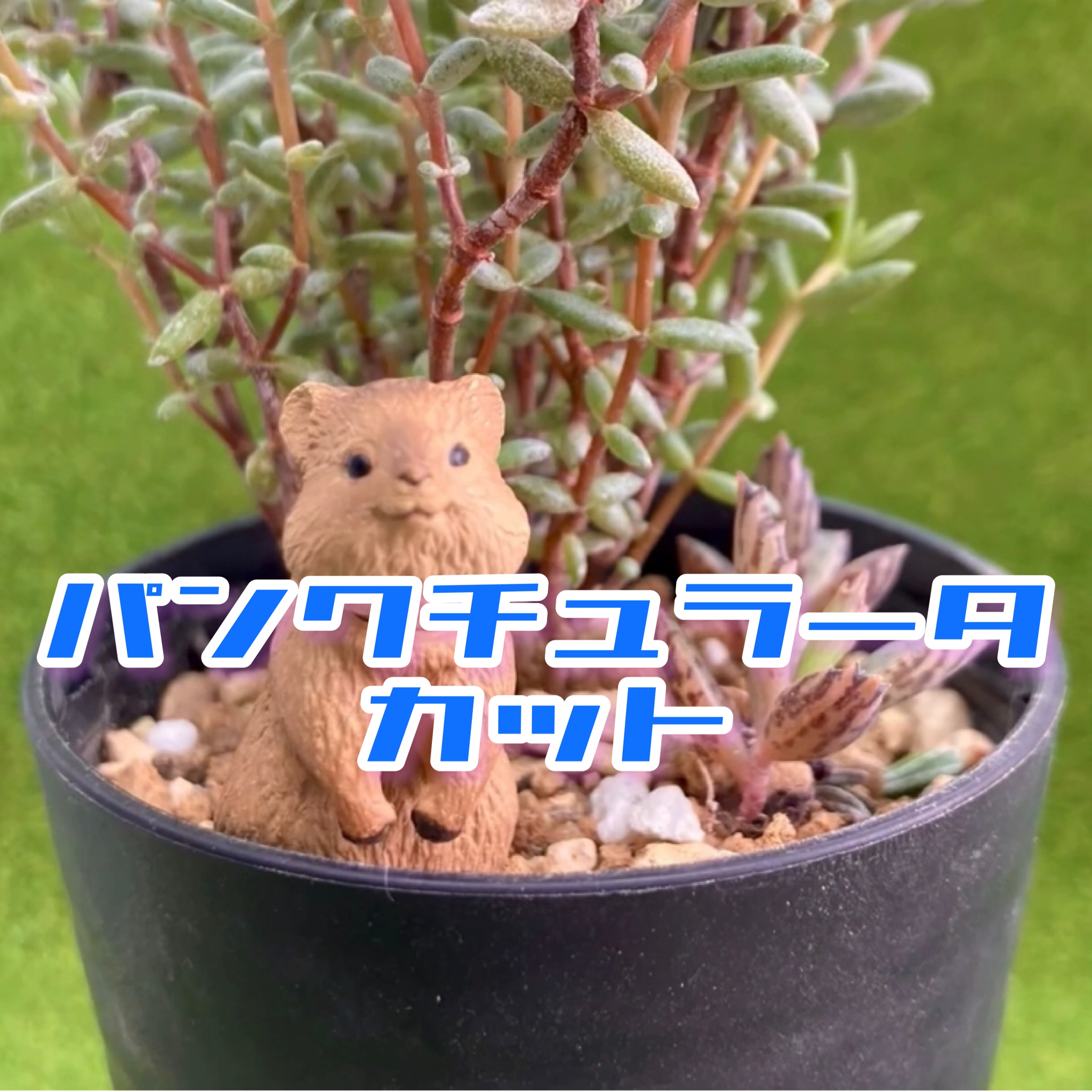 豆彦商店☆YouTu部動画アップしました❣️
