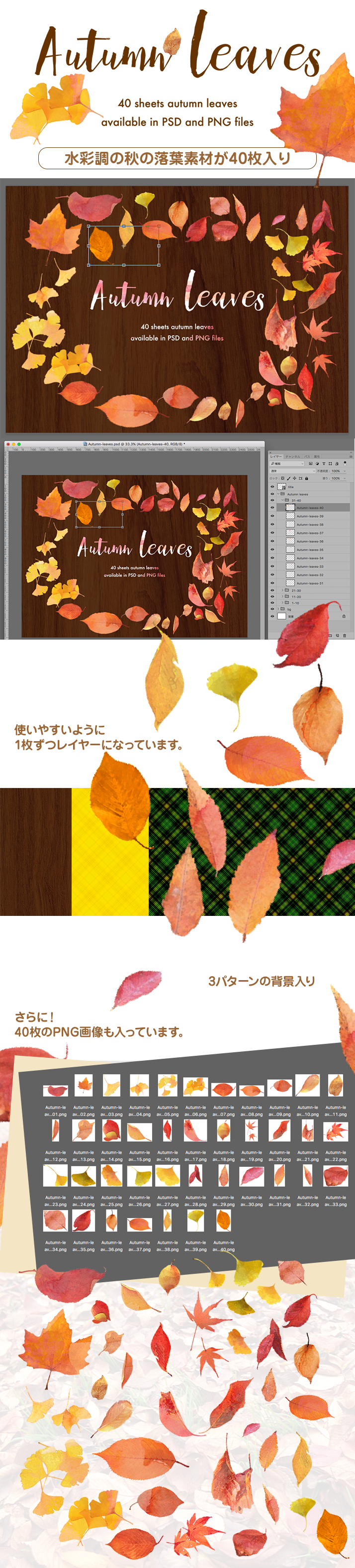 秋の落葉の素材