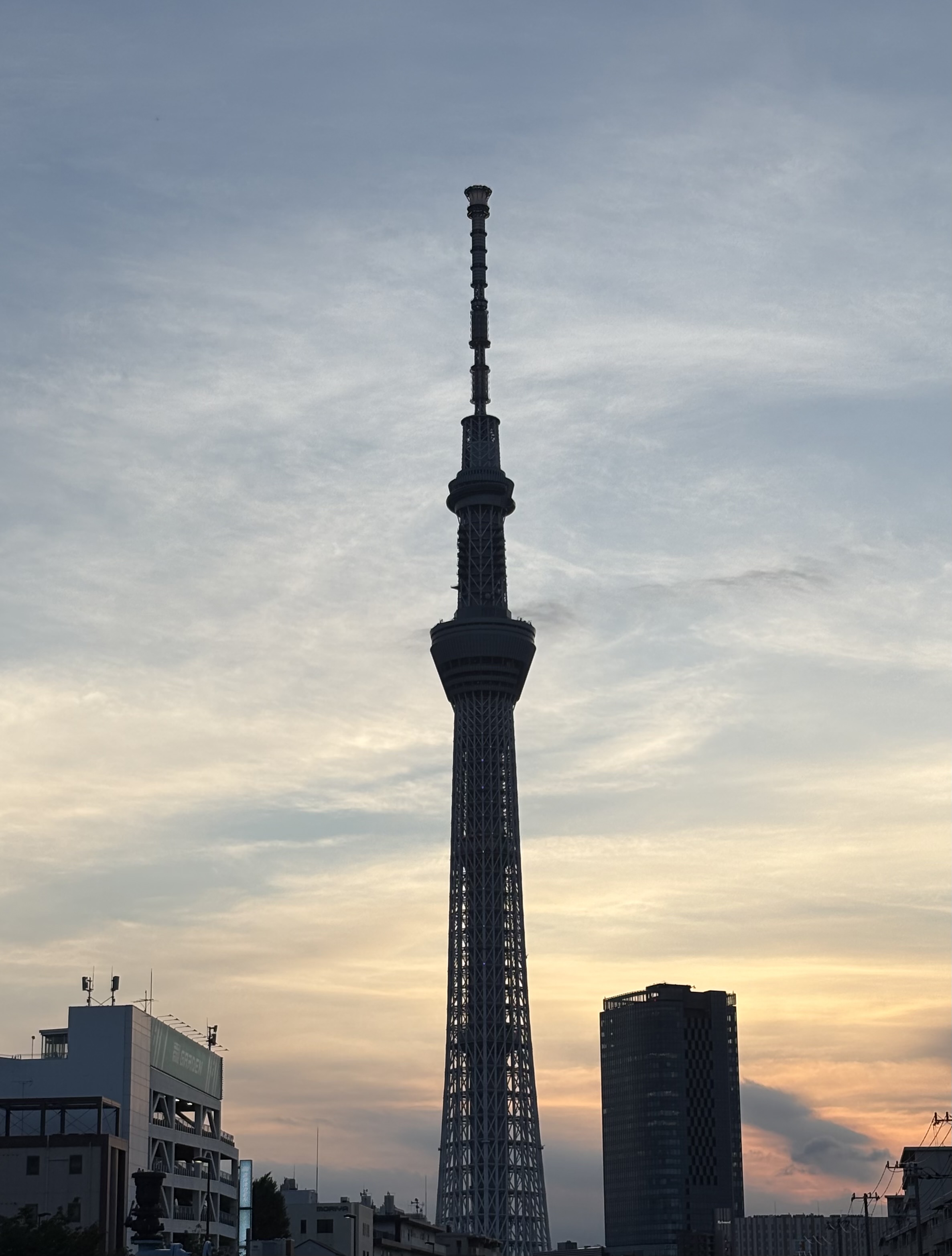 なぜ、朝・昼・夜の3種類なのか