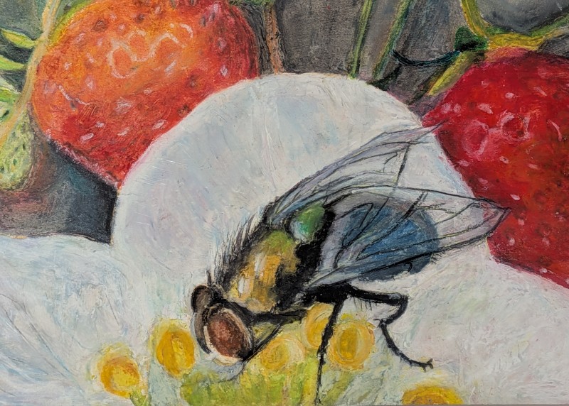 近日発売の、ビーフライ(Blow fly for pollination)のエッセイ