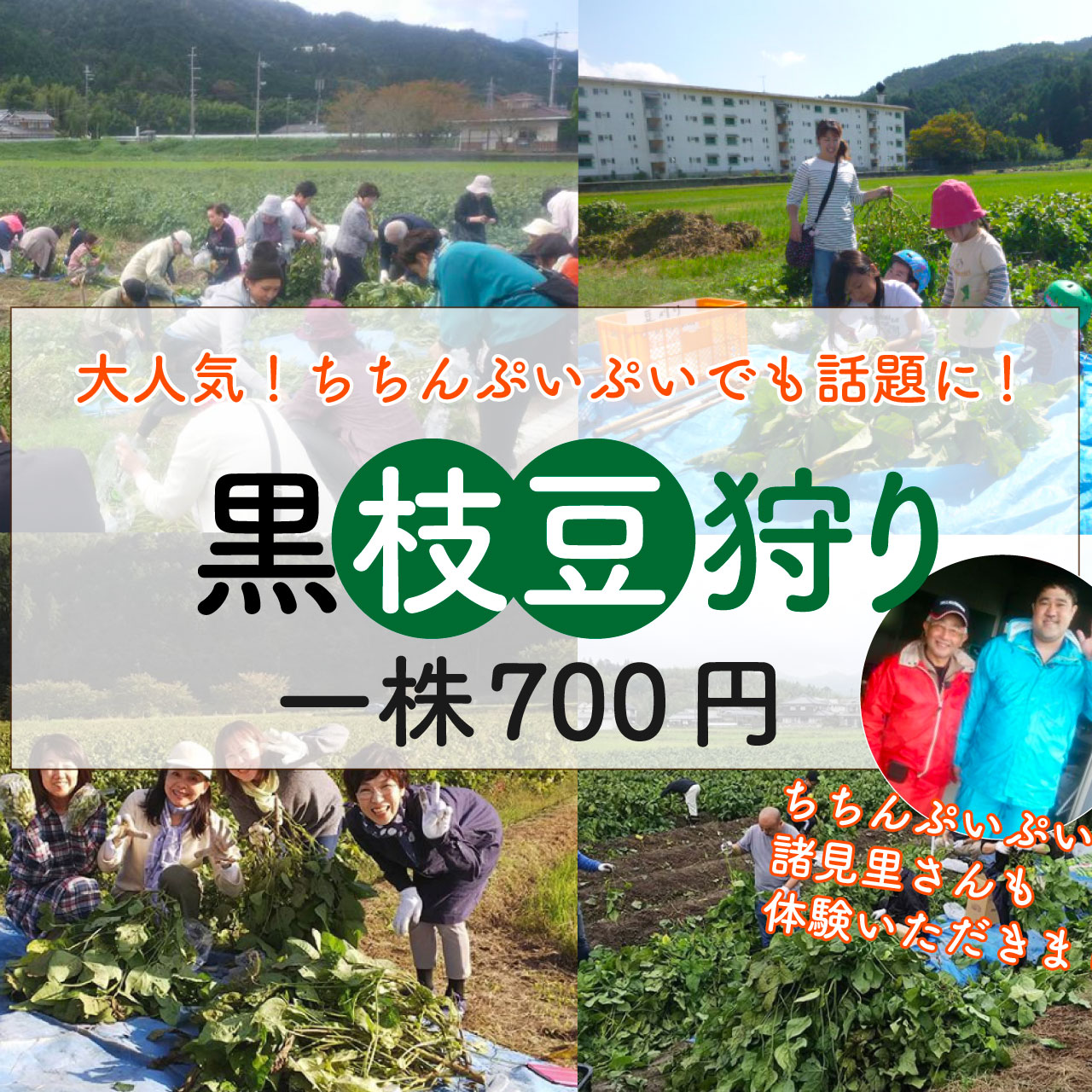 ★受付終了★令和６年度 黒枝豆狩りのご案内！