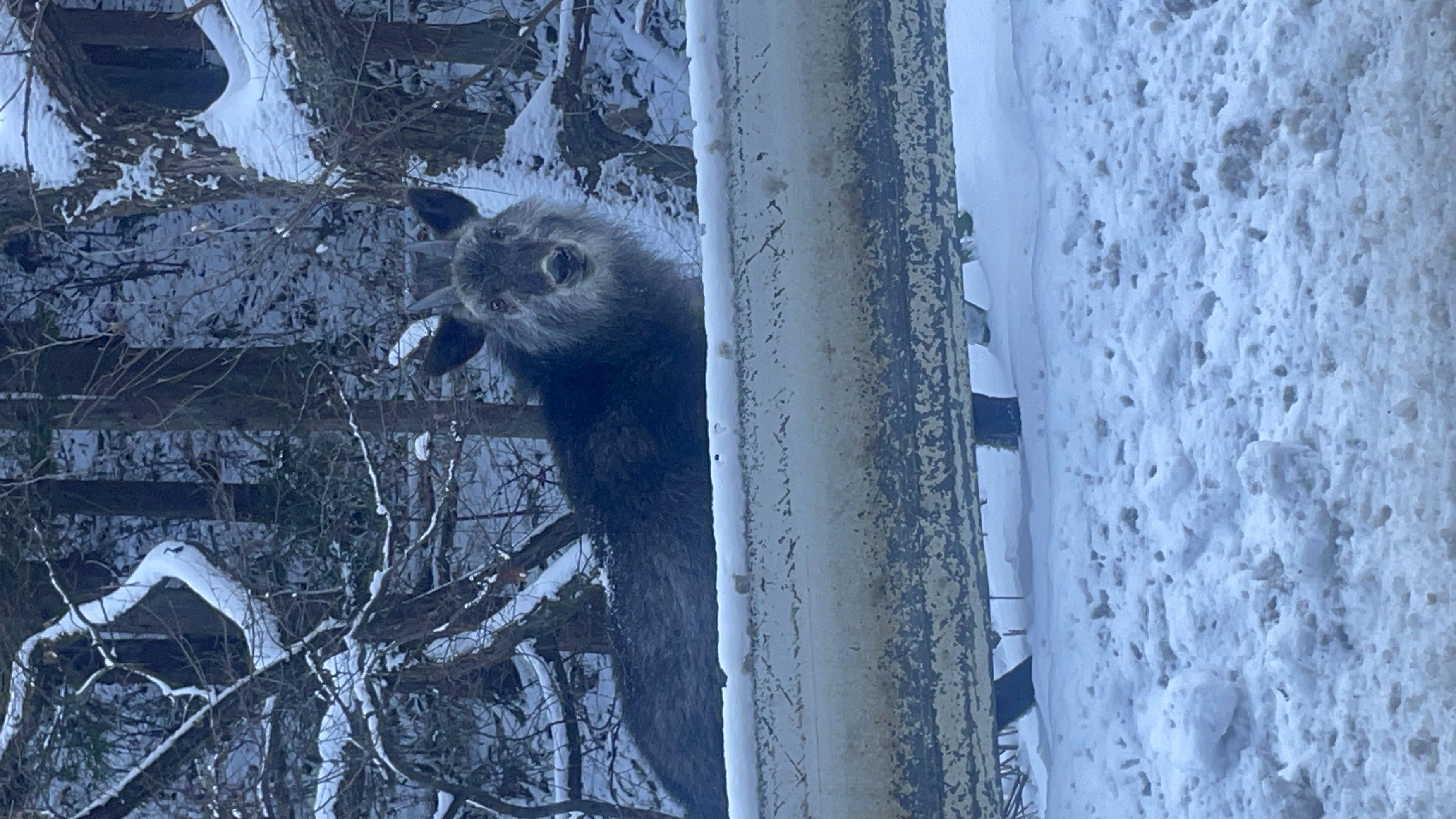 初めまして