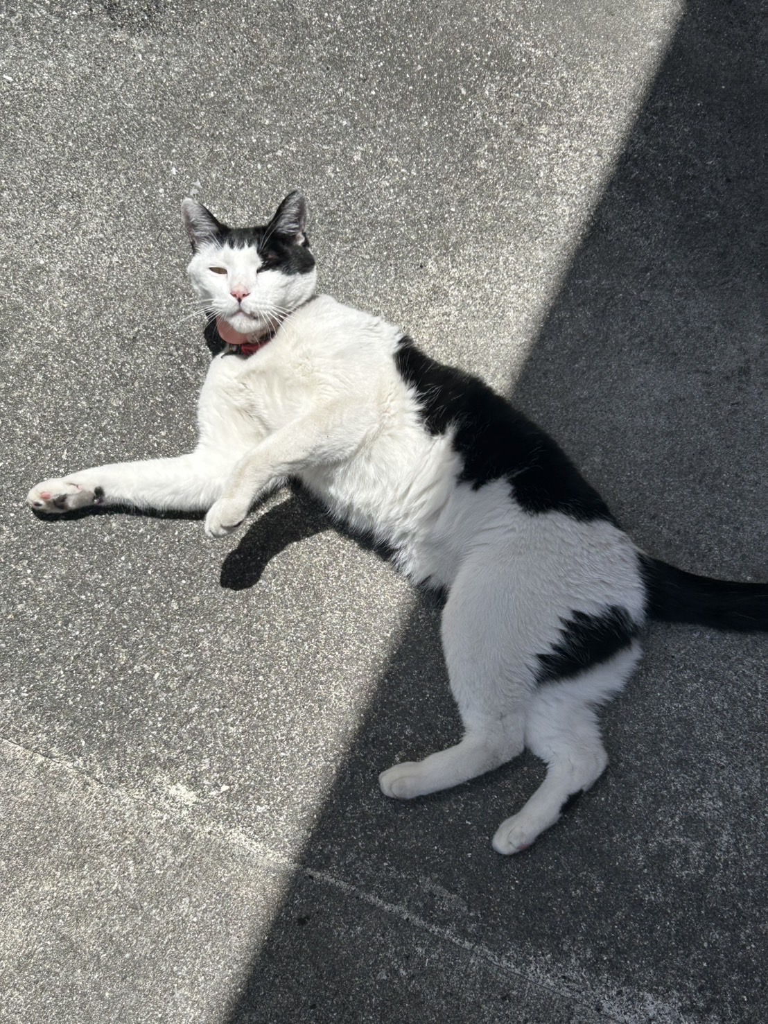 落ちてます...笑
