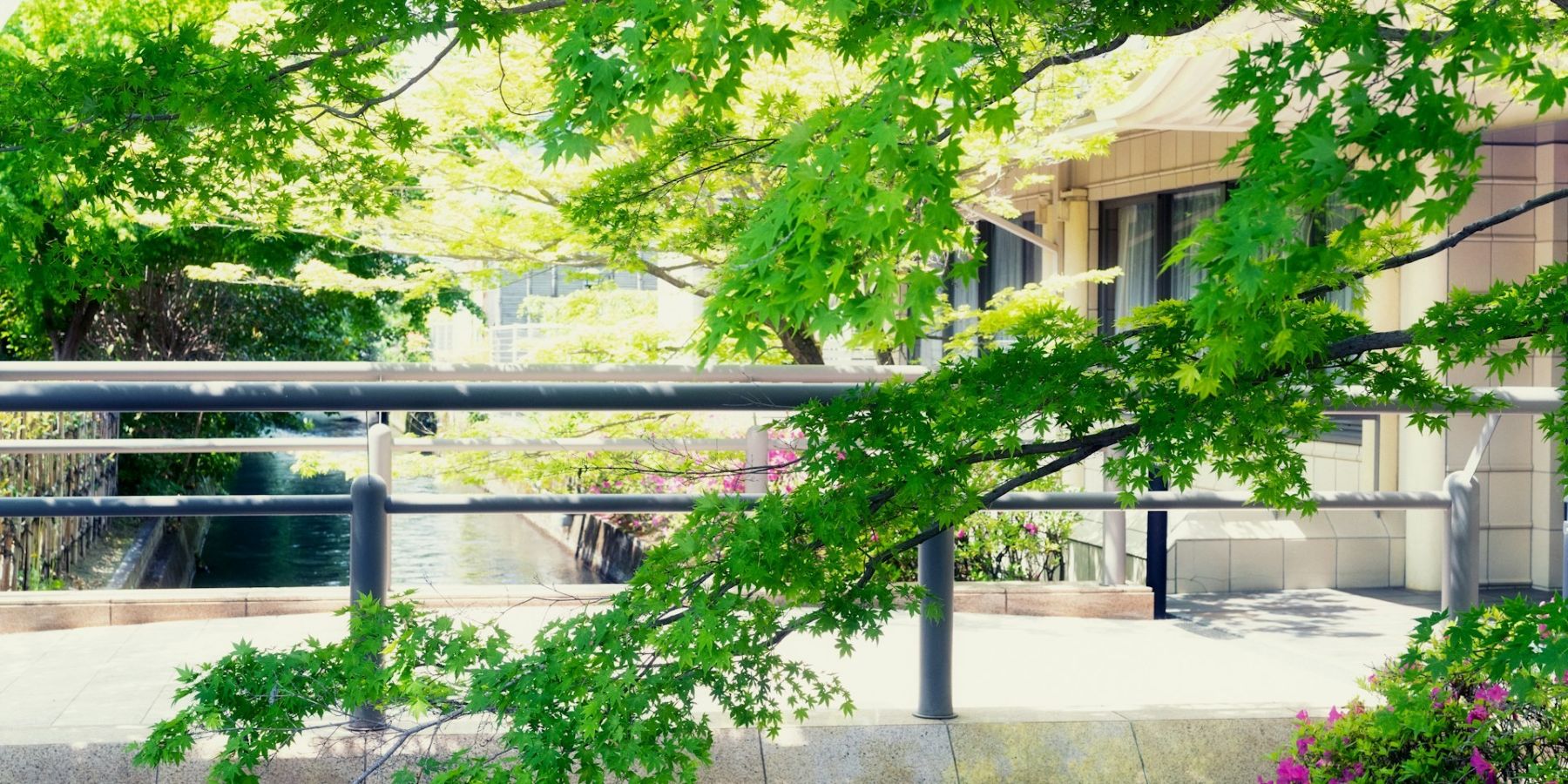 夏なのに冷える「クーラー病」。生姜は“生”と“乾燥”で役割が変わるんです