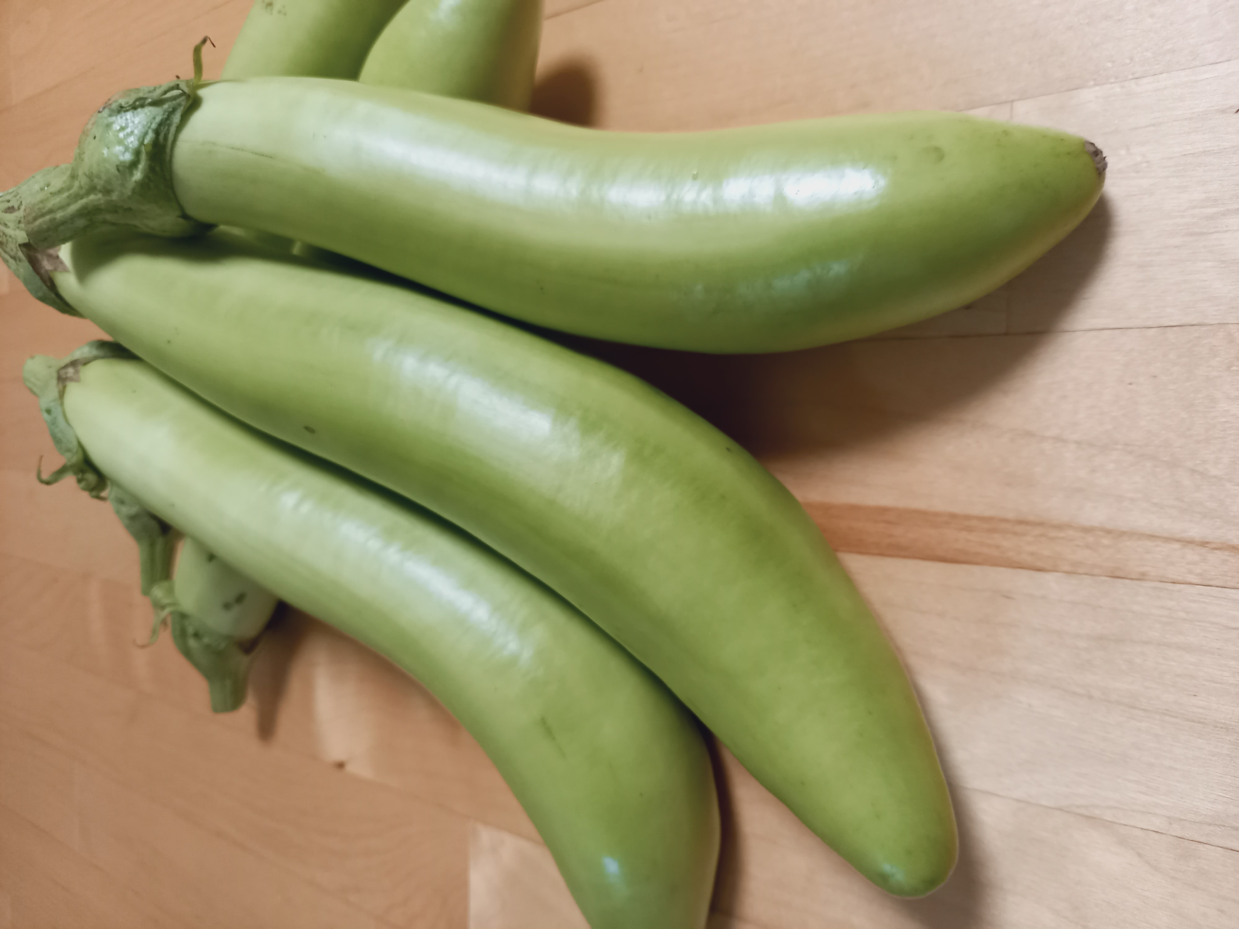 白長茄子の収穫