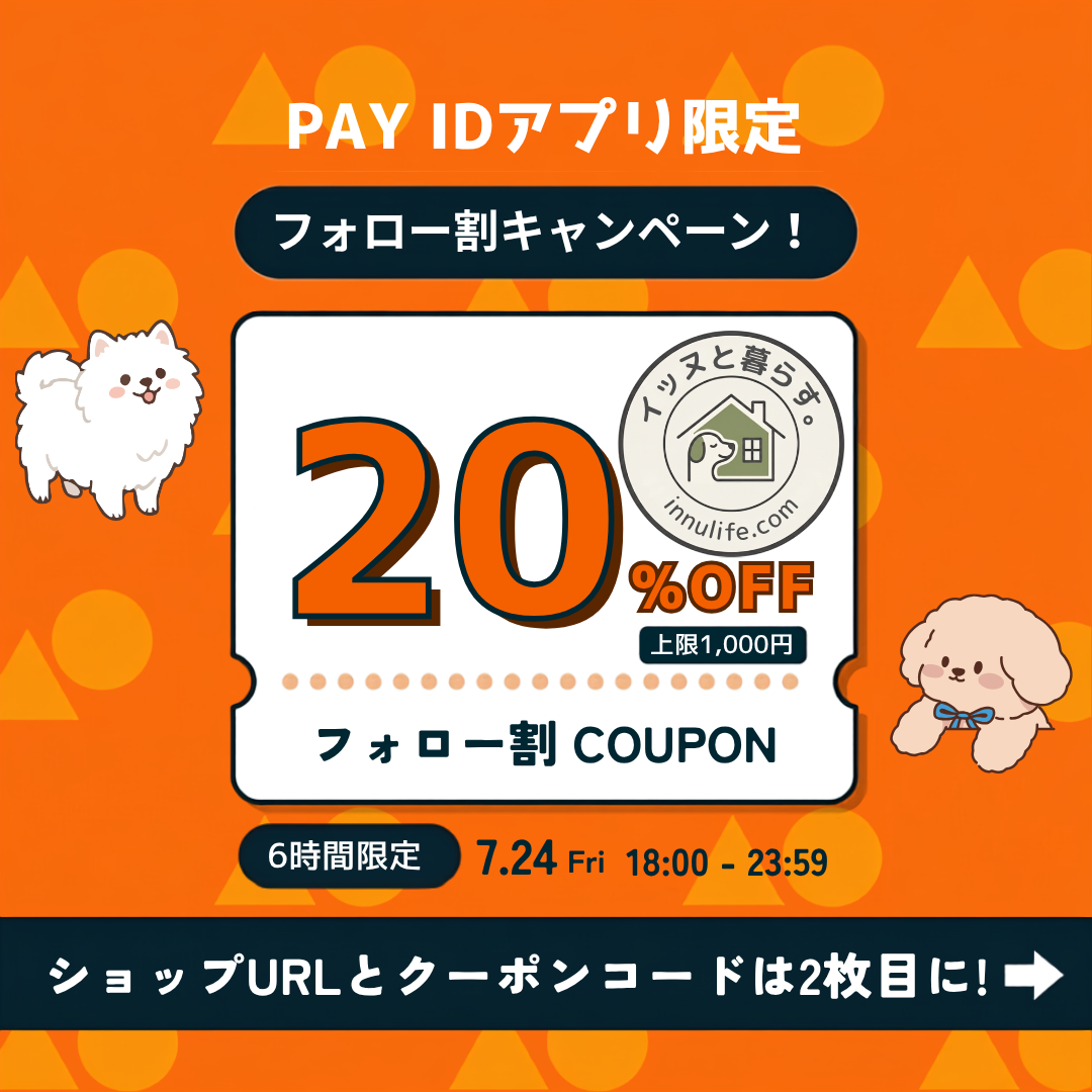 🐾 【6時間限定】20%OFF!フォロー割キャンペーン開催 🐶✨