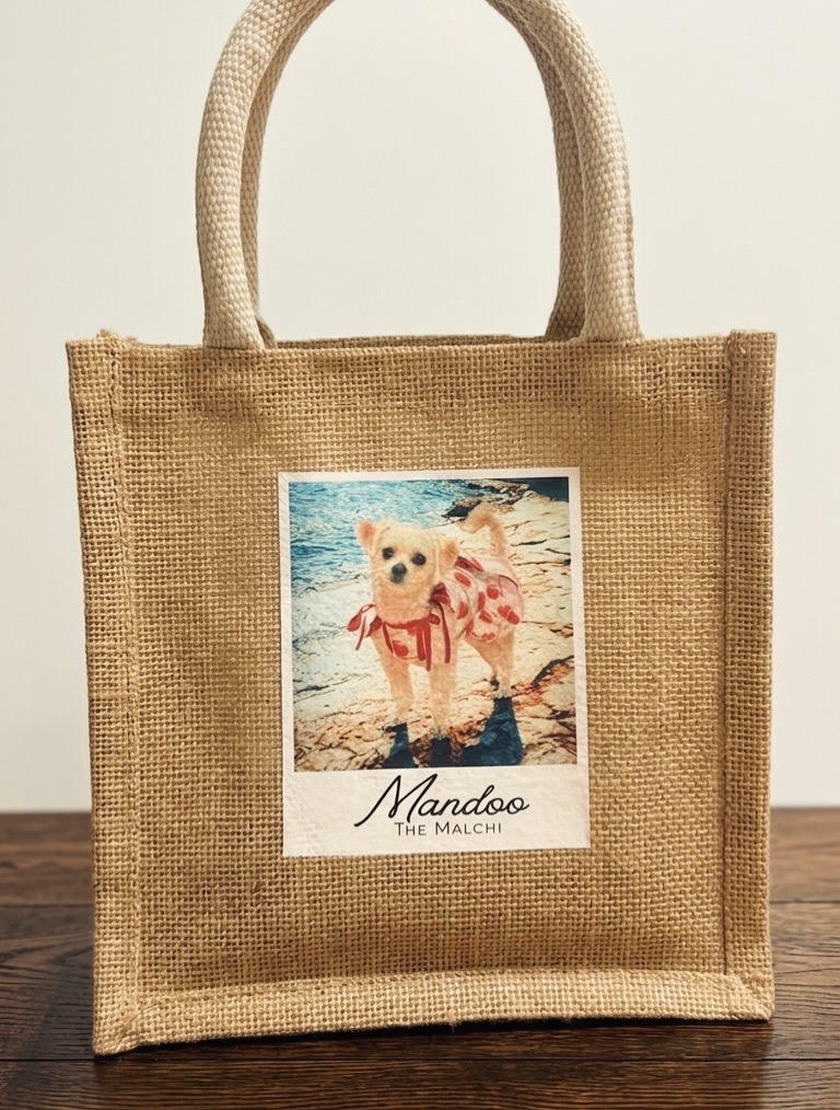 オーダー作品紹介🎵 チワマルの「マンドゥ」ちゃん!