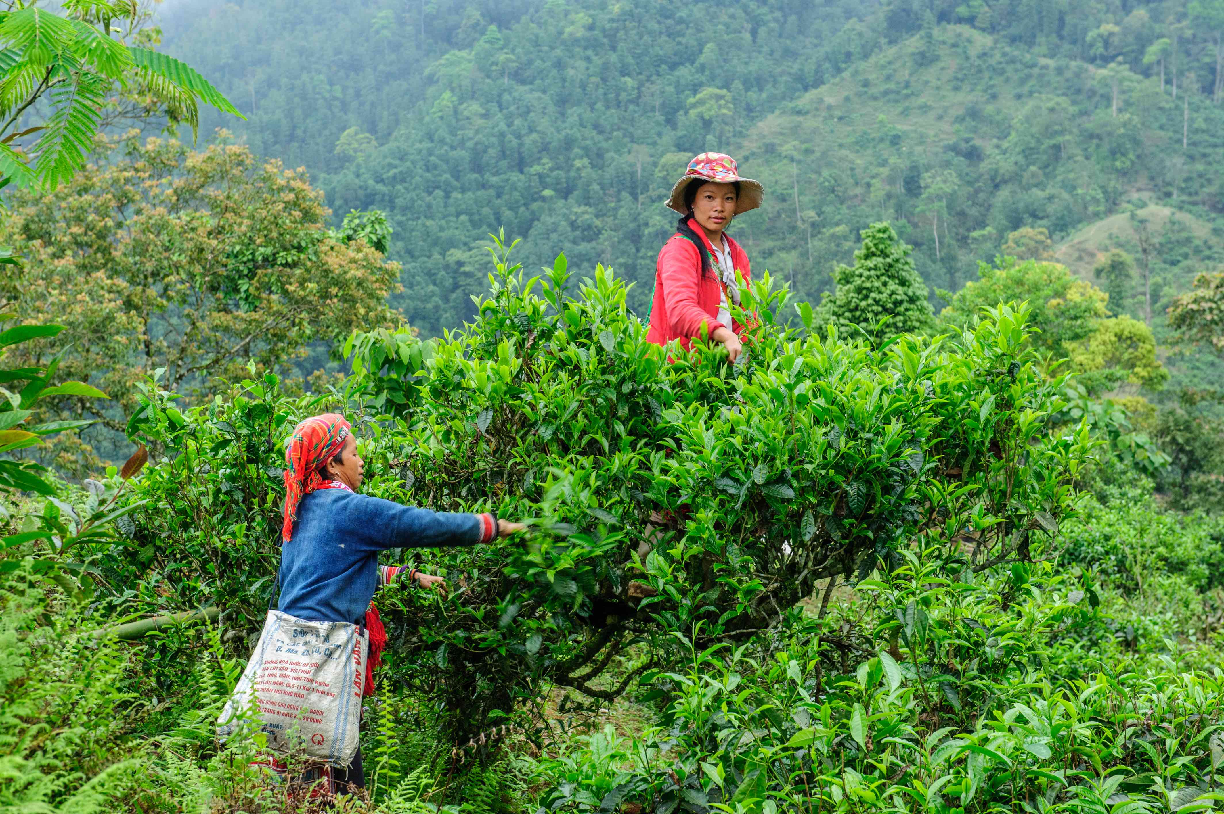 価格改定のお知らせ（2026年5月1日より）