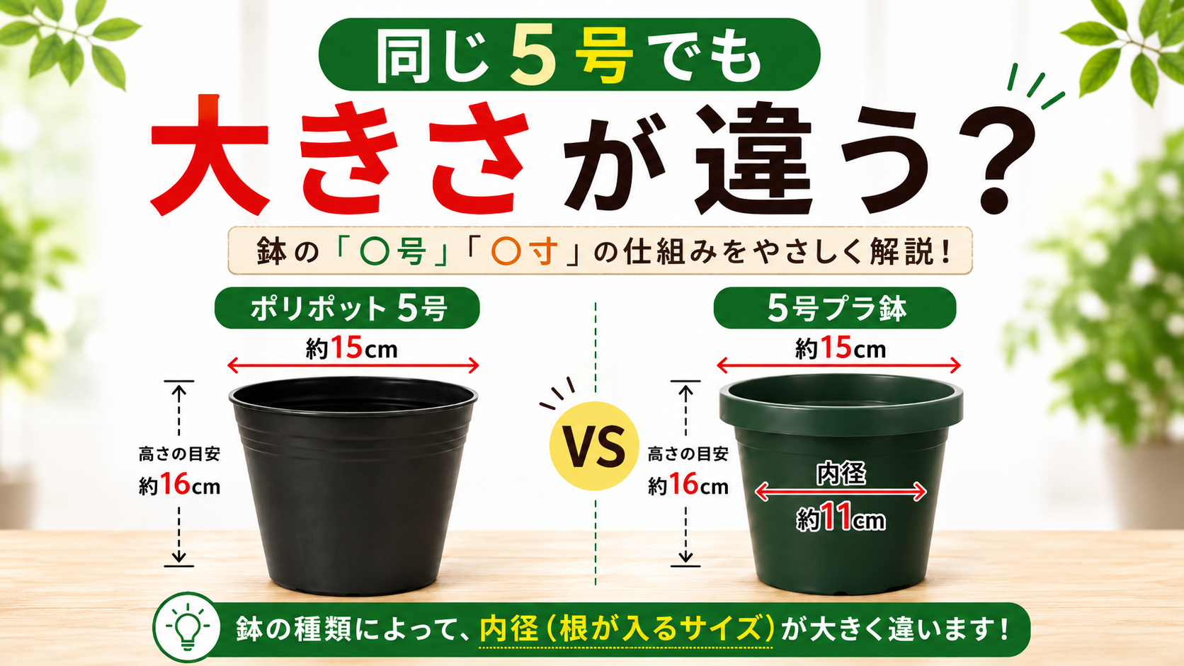 鉢の「○号」って何？ポリポット・プラ鉢の違いを分かりやすく解説