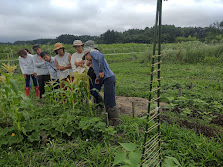 自給菜園（貸し農園）と菜園講座について