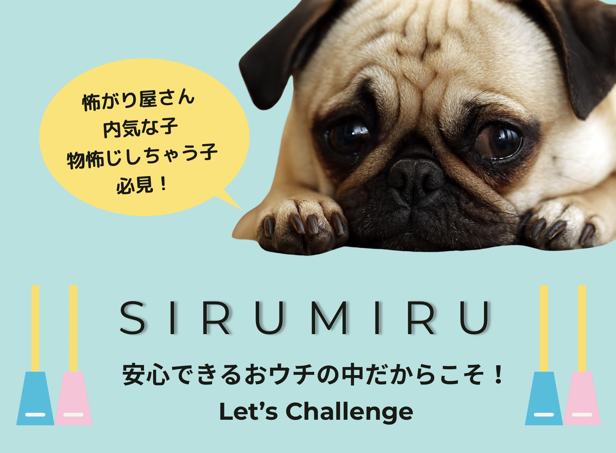 怖がり屋さん♡必見!シルミルで自信を付けよう!