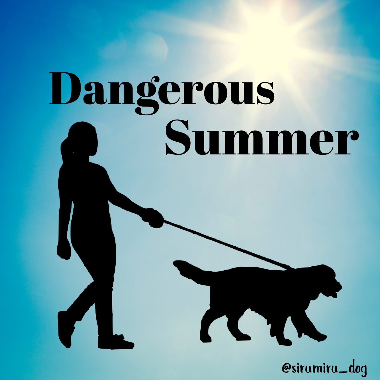 夕方のお散歩、本当に安全ですか🐶⁉️ 愛犬を守るなら”お家で発散”という選択肢も!