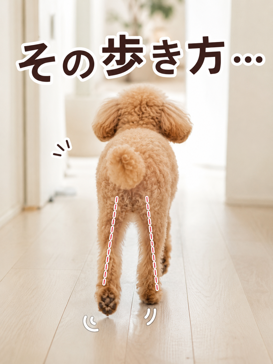 そのお膝、サボってない!?🐶