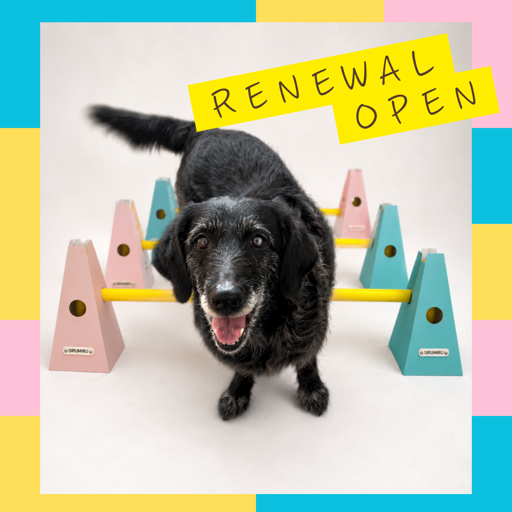 Renewal open!!