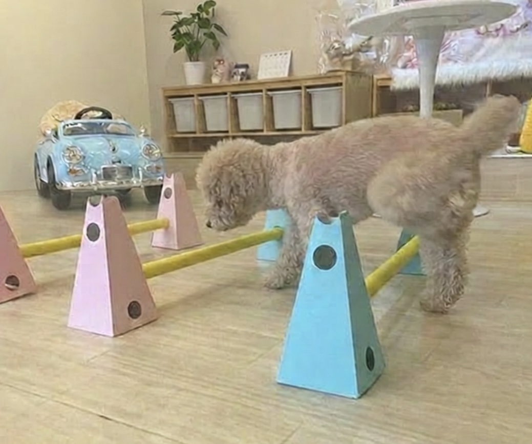 健脚や体力維持をしたい時のファーストステップは?!
