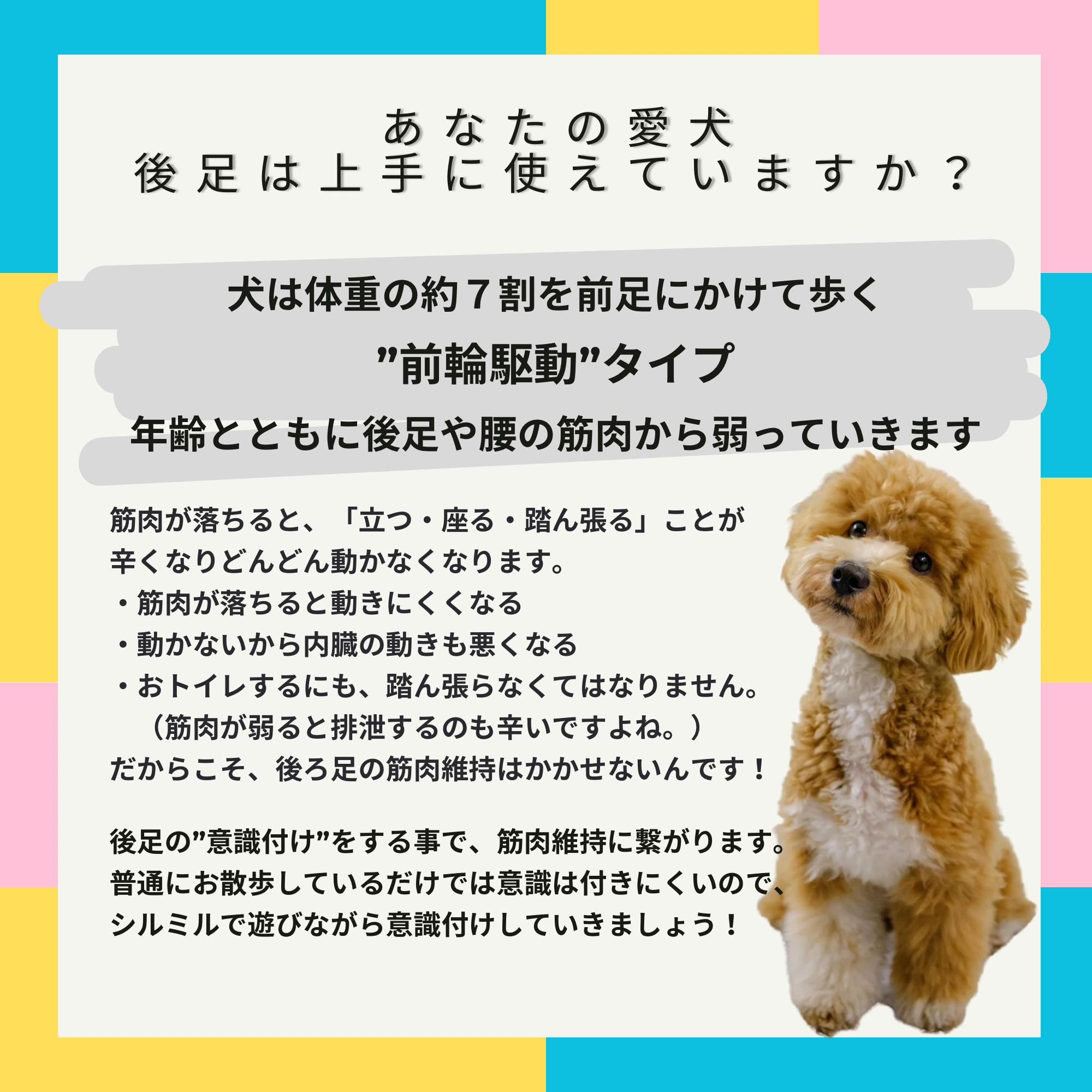 後ろ足は上手に使えていますか?!