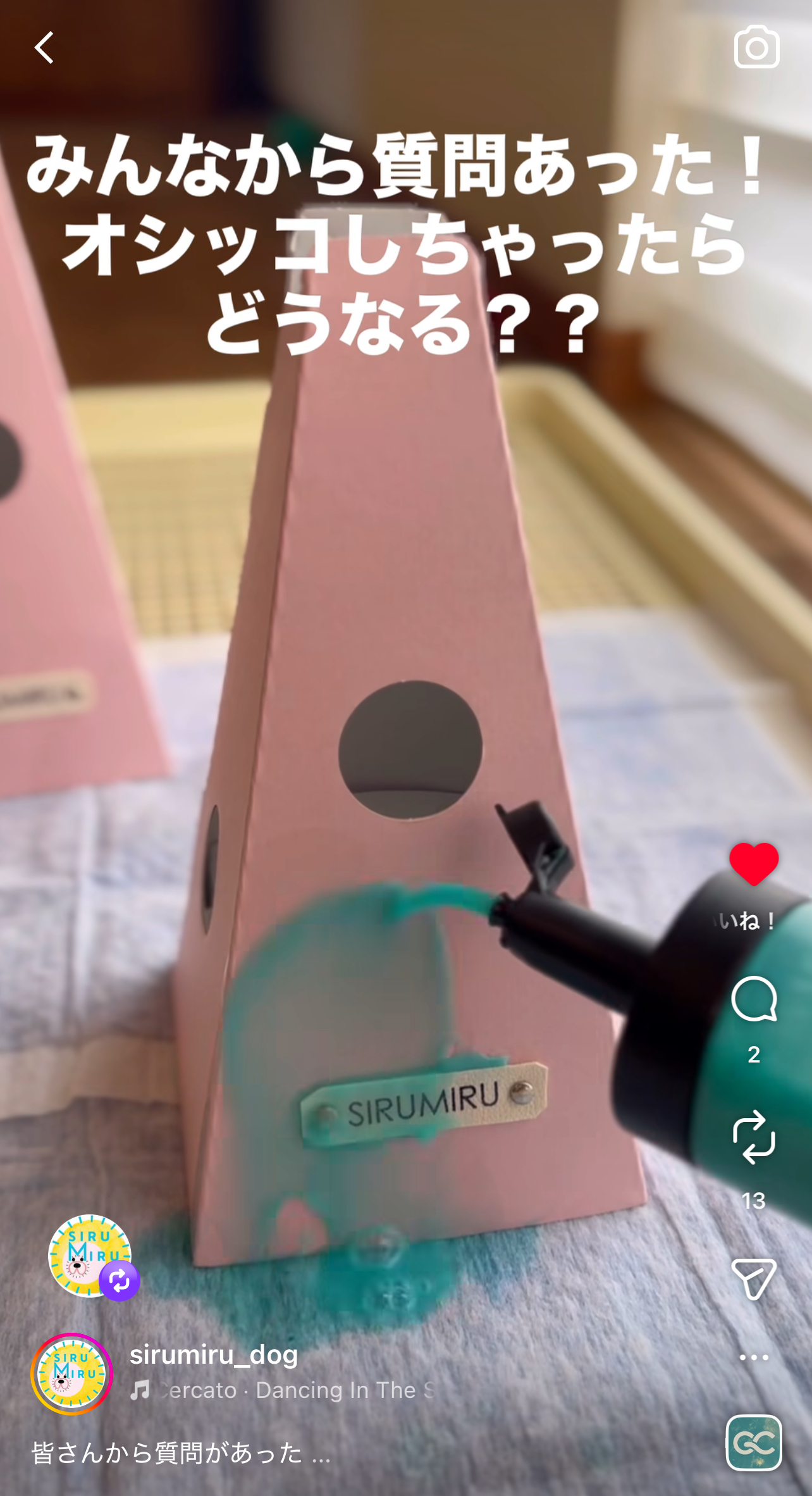 シルミルにオシッコかけちゃった!そんな時は
