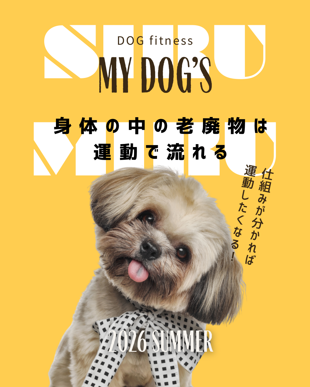 老廃物はどうやって排出される?愛犬の身体の仕組みを解説!