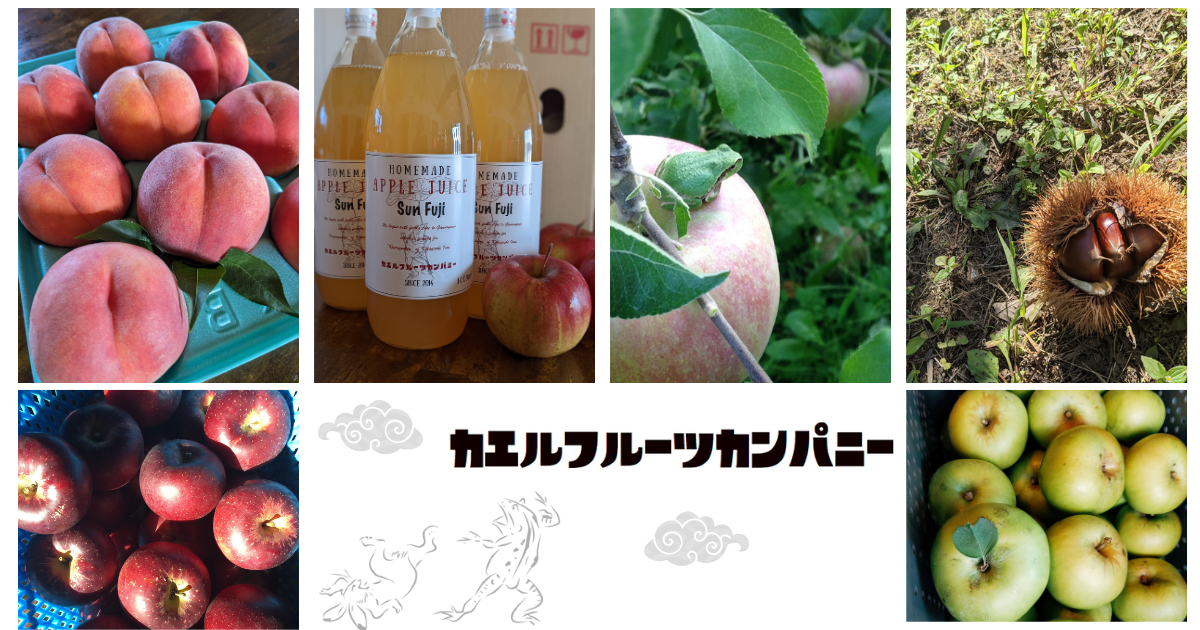 カエルフルーツカンパニー　名前の由来について