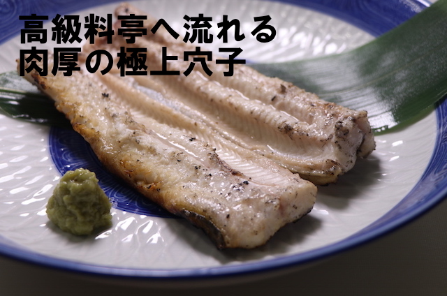 東京の総料理長たちもお忍びで舌鼓！他とは別格！気仙沼の穴子丼と白焼き