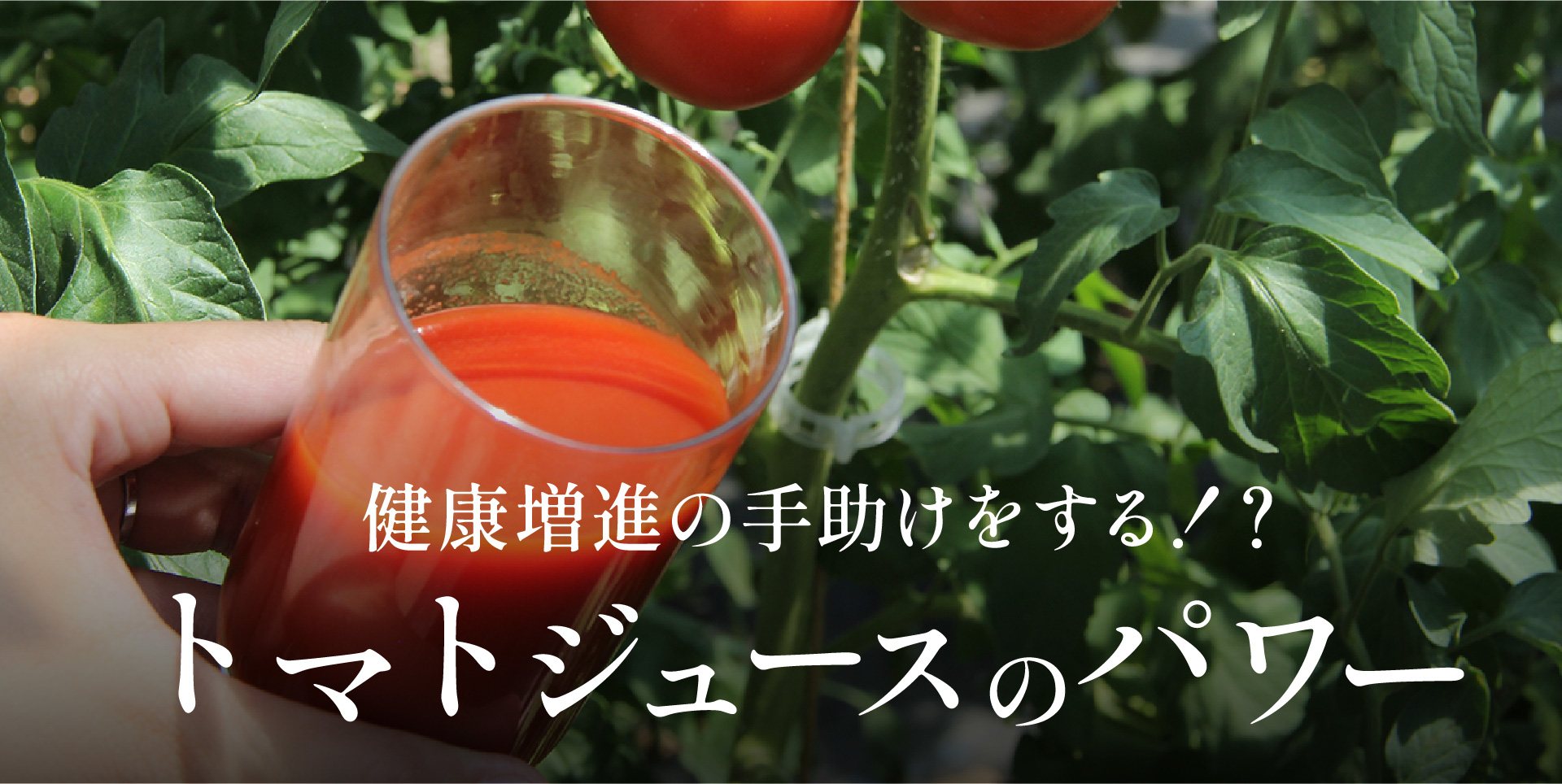 健康増進の手助け!?トマトジュースのパワー