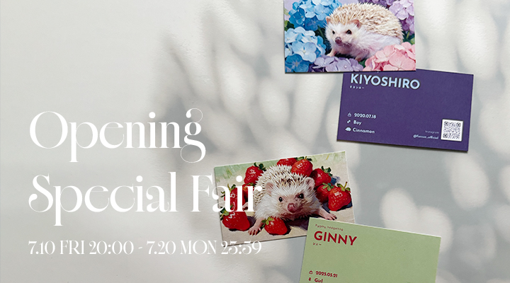 Opening Special Fair 開催のお知らせ