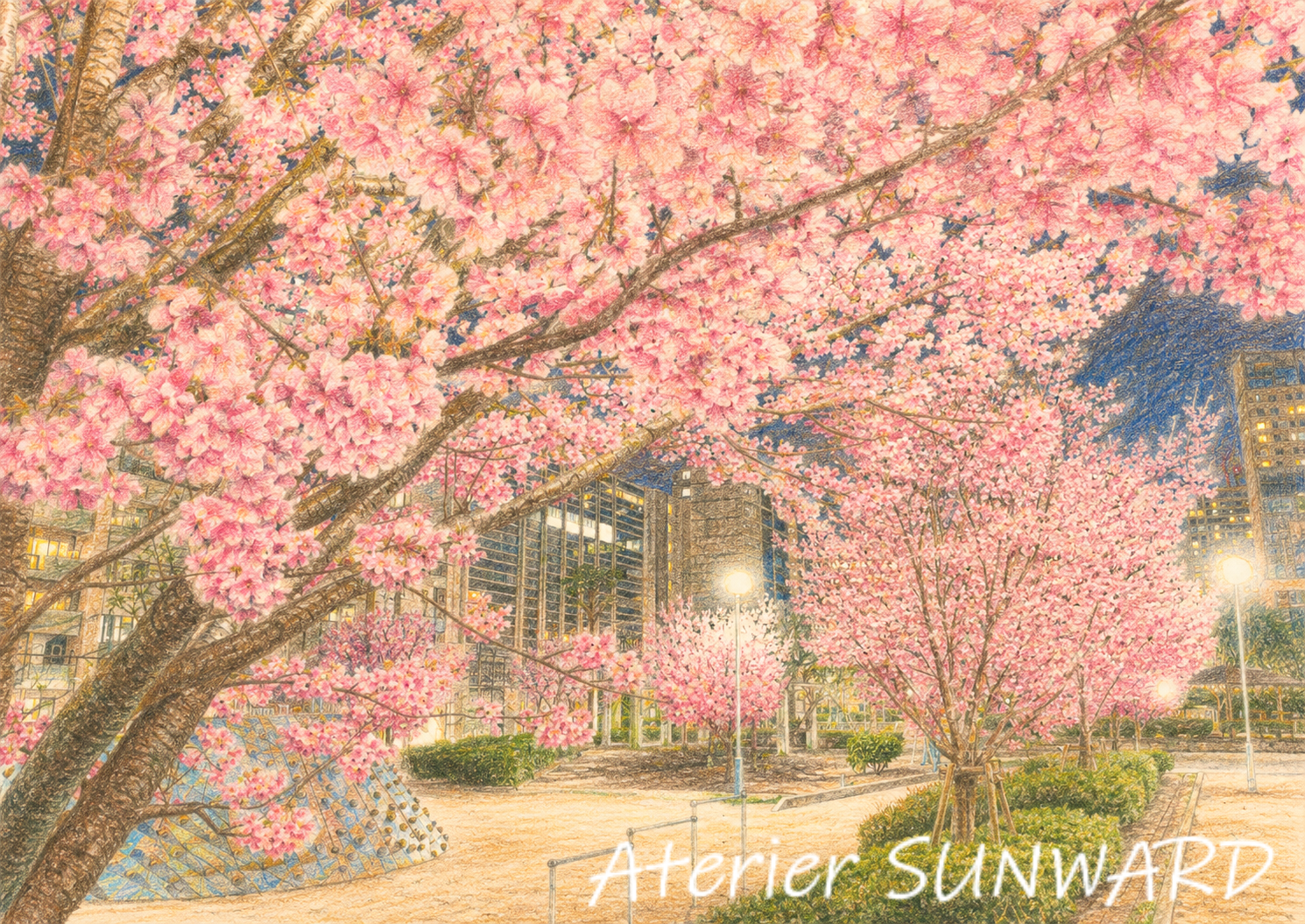 【新作】都会の公園に咲き誇る陽光桜2