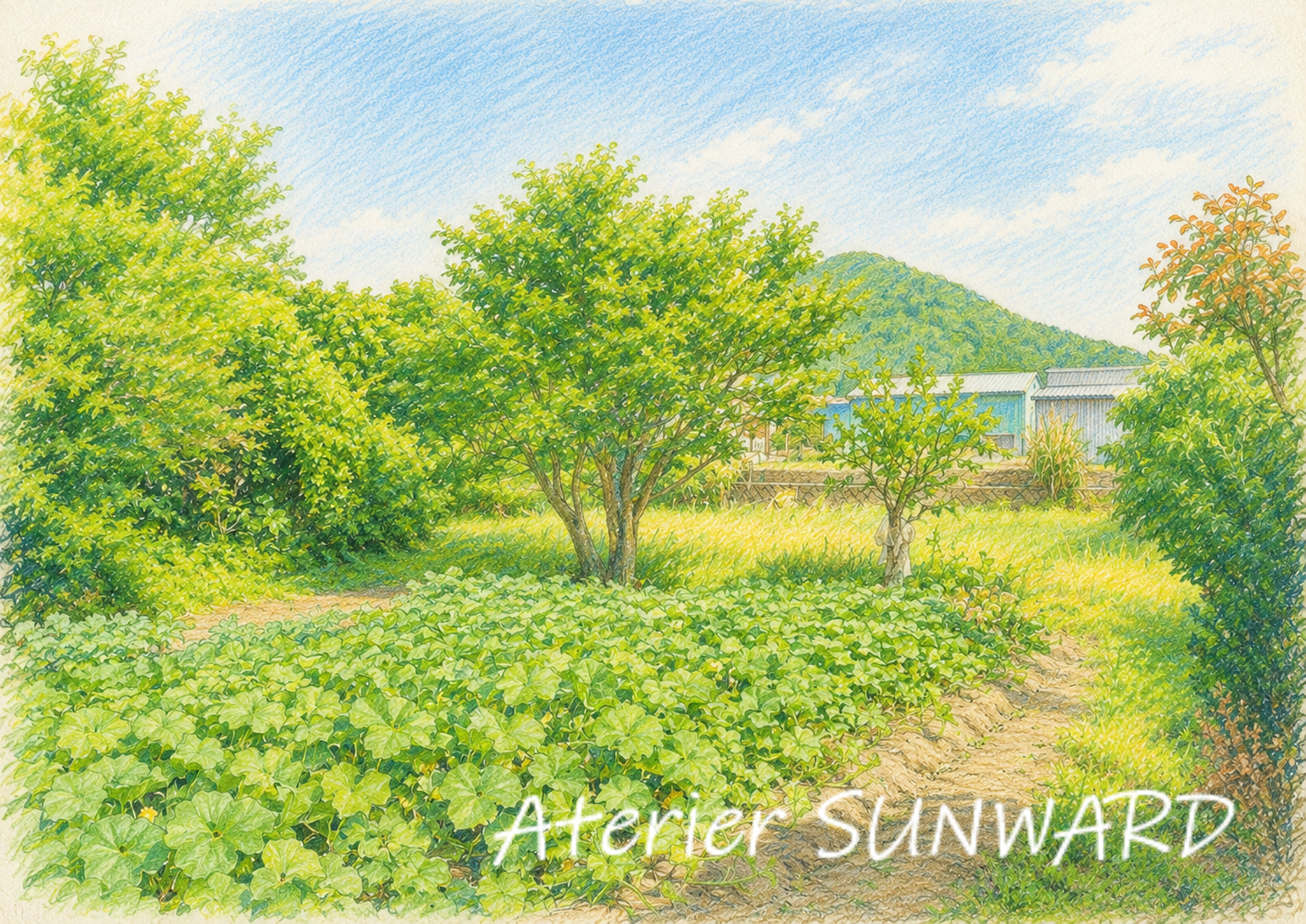 【新作】かぼちゃ畑と鷲尾岳
