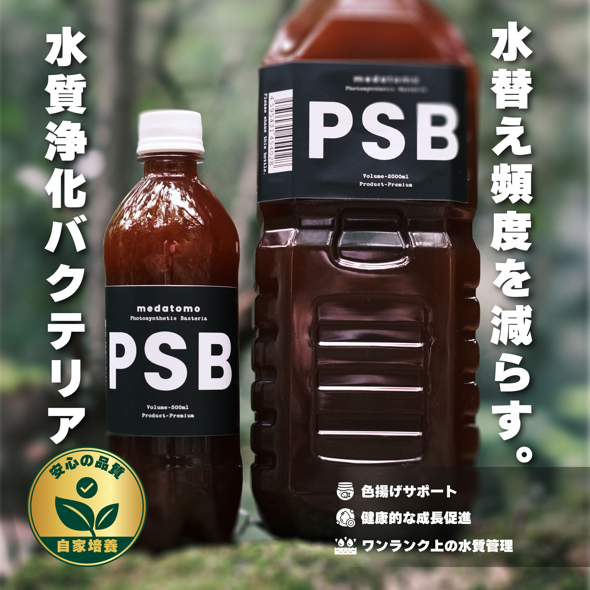 PSB（光合成細菌）の正しい使い方と効果的な与え方